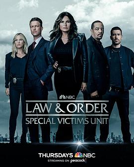 法律与秩序：特殊受害者第二十四季的海报